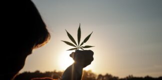 lecznicze właściwości marihuany