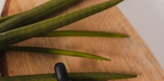 olejki eteryczne właściwości