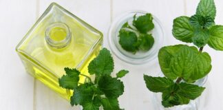 Co jest lepsze balsam czy masło? Co jest lepsze balsam czy masło?