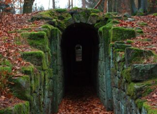 Czy w apteczce pierwszej pomocy powinna znajdować się instrukcja udzielania pierwszej pomocy?