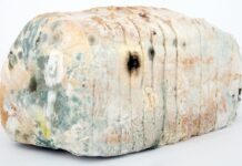 Czym dezynfekować otwarte rany?