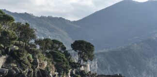 Ile kosztuje torba R1?