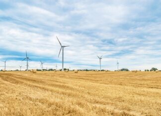 Jak rolować pod oczami?