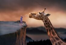 Jak długo można żyć z cewnikiem?