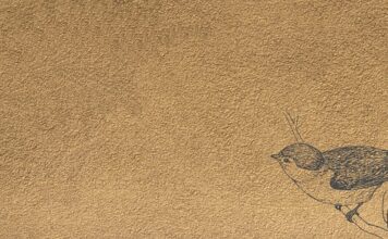 Co to znaczy mankiet?