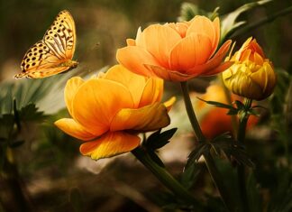 Czy zbyt rzadkie mycie włosów szkodzi?