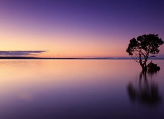 Co zamiast wody utlenionej w apteczce?