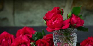 Do jakiego pojemnika wrzucamy opakowania po przyprawach? Do jakiego pojemnika wrzucamy opakowania po przyprawach?