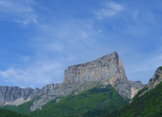 Gdzie kupię igłę?