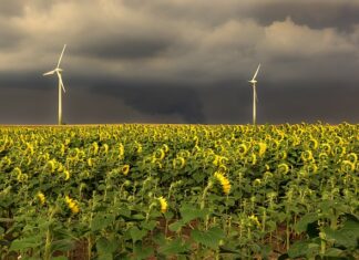 Jaka jest kolejność pierwszej pomocy?