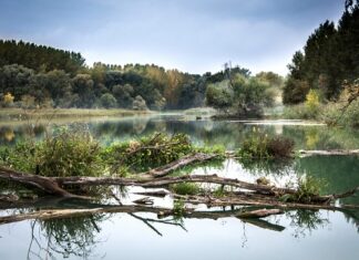 Co w apteczce na Słowację?